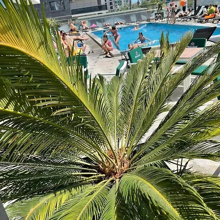 Studiou Andu Nord 10 By Alezzi Lägenhet Năvodari