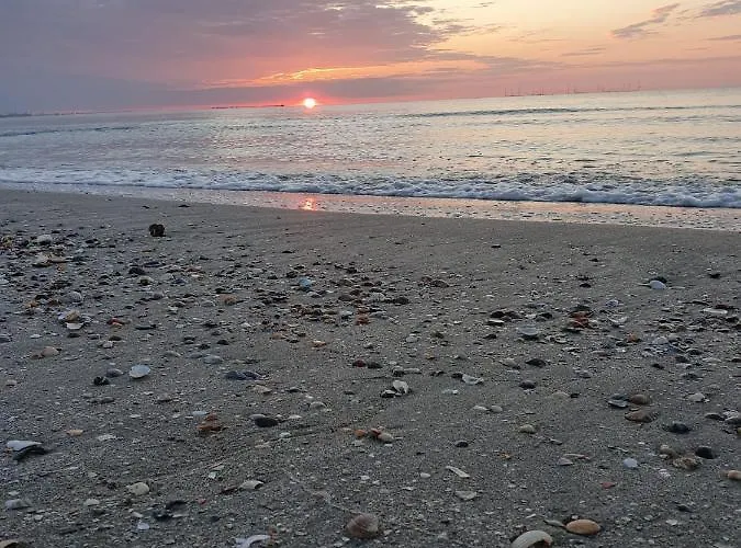 דירה Studiou Andu Nord 10 By Alezzi