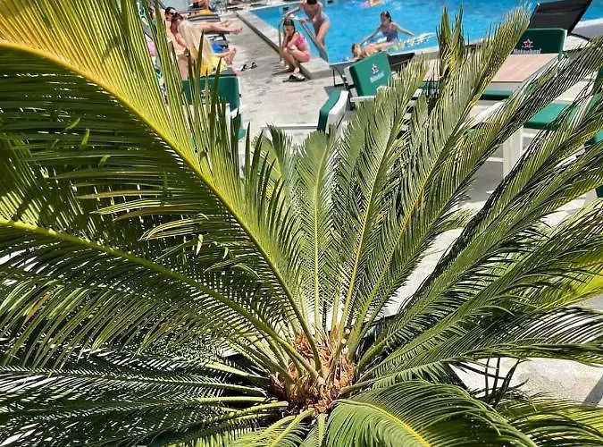 Studiou Andu Nord 10 By Alezzi דירה Năvodari